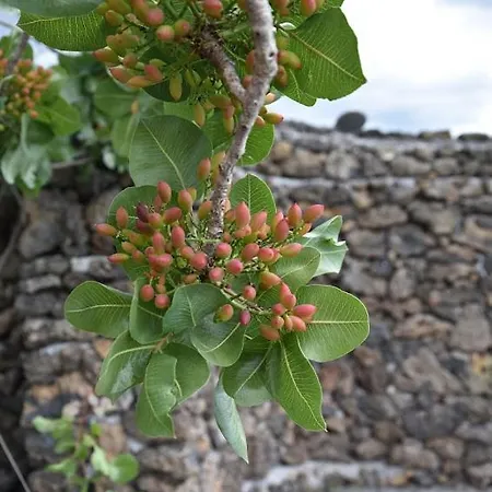 Appartement Svr Palace *